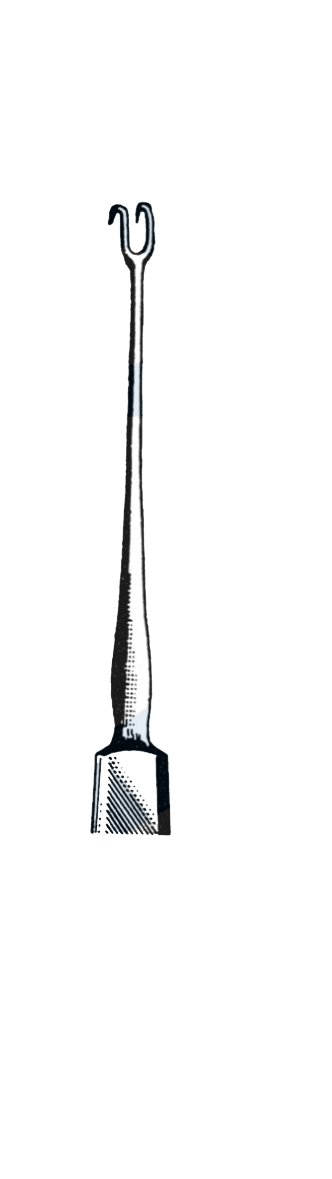 Guthrie skin Hook, Sharp, Double Prong, 1.5 mm Wide 5" (12.5 cm) - Garana Industries