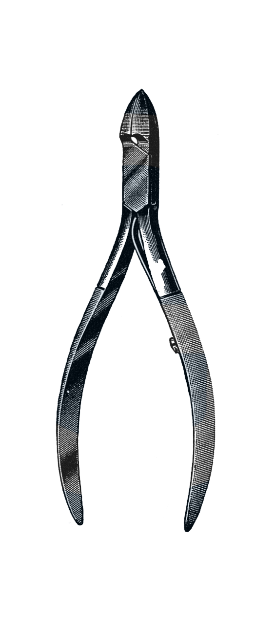 Tissue Nipper, Convex Jaw 4 1/2" (11.5 cm) - Garana Industries