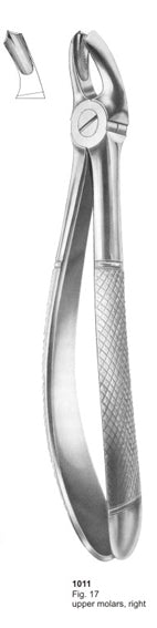 Extracting Forceps English Pattern Upper Molar Right