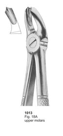 Extracting Forceps English Pattern Upper Molars