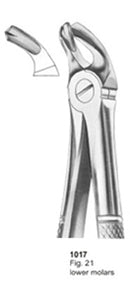 Extracting Forceps English Pattern Lower Molars