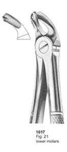 Extracting Forceps English Pattern Lower Molars