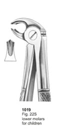 Extracting Forceps English Pattern Lower Molars For Children