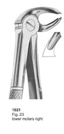 Extracting Forceps English Pattern Lower Molars Right