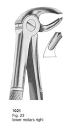 Extracting Forceps English Pattern Lower Molars Right