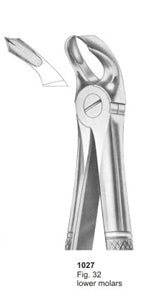 Extracting Forceps English Pattern Lower Molars