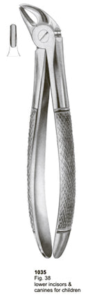 Extracting Forceps English Pattern Lower Incisors and Canines For Children