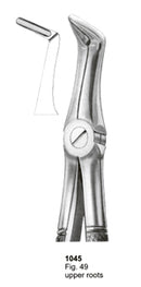Extracting Forceps English Pattern Upper Roots
