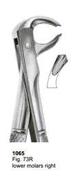 Extracting Forceps English Pattern Lower Molars Right