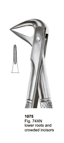 Extracting Forceps English Pattern Lower Roots And Crowded Incisors