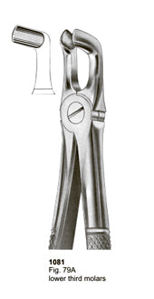 Extracting Forceps English Pattern Lower Third Premolar