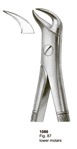 Extracting Forceps English Pattern Lower Molars