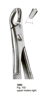 Extracting Forceps English Pattern Upper Molars Right