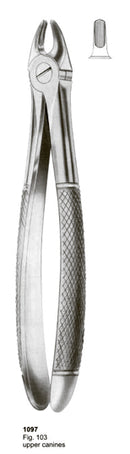 Extracting Forceps English Pattern Upper Canines