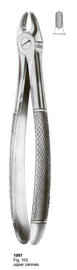 Extracting Forceps English Pattern Upper Canines