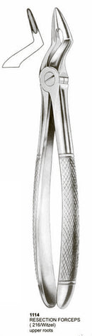 Extracting Forceps English Pattern Resection Forceps Upper Roots