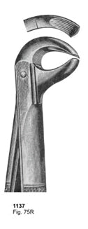 Extracting Forceps English Pattern Fig. 75R
