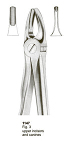 Extracting Forceps Fitting Handle Upper Incisors and Canines