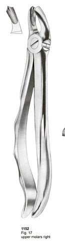 Extracting Forceps Fitting Handle Upper Molars Right