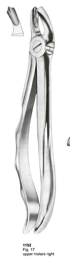 Extracting Forceps Fitting Handle Upper Molars Right