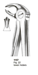 Extracting Forceps Fitting Handle Lower Molars