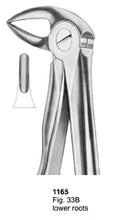 Extracting Forceps Fitting Handle Lower Roots