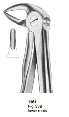 Extracting Forceps Fitting Handle Lower Roots