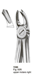Extracting Forceps Fitting Handle Upper Molars Right