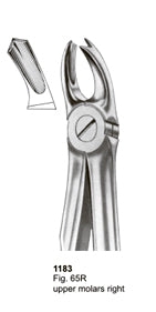 Extracting Forceps Fitting Handle Upper Molars Right
