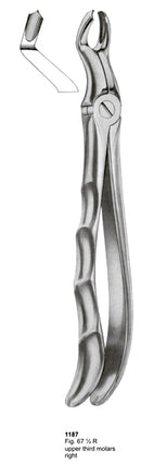 Extracting Forceps Fitting Handle Upper Third Molars Right