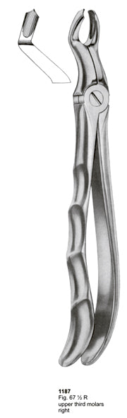 Extracting Forceps Fitting Handle Upper Third Molars Right