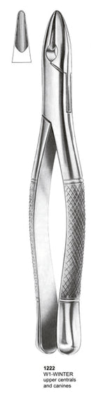 Extracting Forceps American Pattern Upper Centrals And Canines