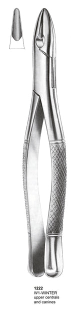Extracting Forceps American Pattern Upper Centrals And Canines