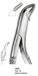 Extracting Forceps American Pattern Lower Incisors