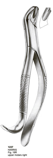 Extracting Forceps American Pattern Harris Upper Molars Right