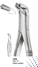 Extracting Forceps American Pattern Lower Molars