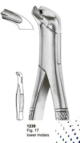 Extracting Forceps American Pattern Lower Molars