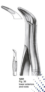 Extracting Forceps American Pattern Lower Anteriors And Roots