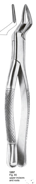 Extracting Forceps American Pattern Upper Incisors And Roots