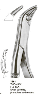 Extracting Forceps American Pattern Lower Canines Premolars And Molars