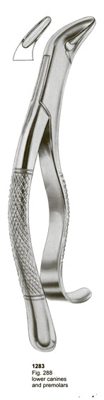 Extracting Forceps American Pattern Lower Canines And Premolars