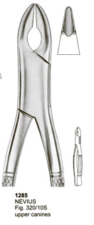 Extracting Forceps American Pattern Nevius Upper Canines