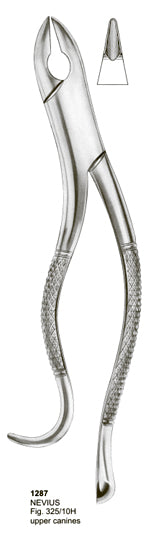 Extracting Forceps American Pattern Nevius Upper Canines