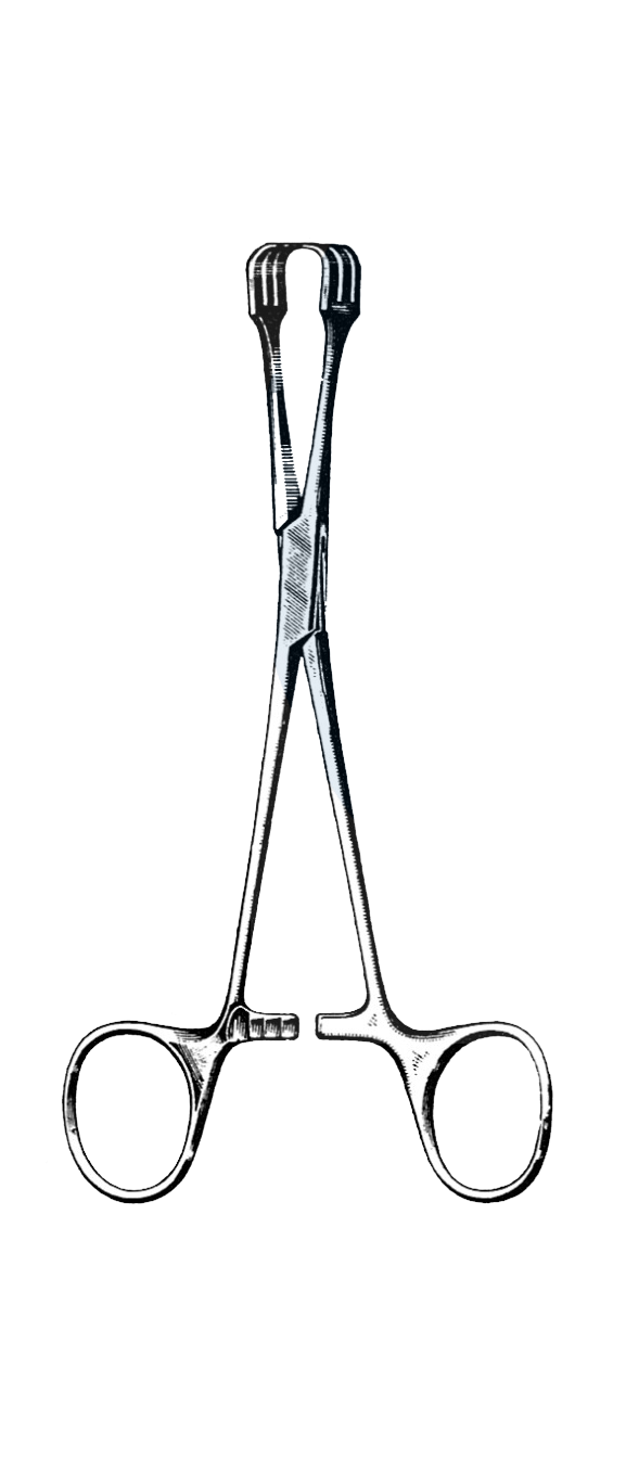 Lahey Thyroid Traction Forceps, 3 x 3 Prongs 6 1/4" (16 cm) - Garana Industries