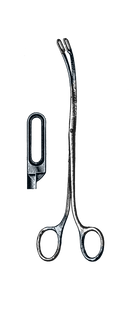 Desjardin Gall Stone Forceps 9 1/4" (23.5 cm) - Garana Industries