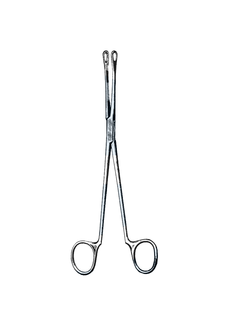 Blake Gall Stone Forceps, Straight 8 1/4" (21 cm) - Garana Industries