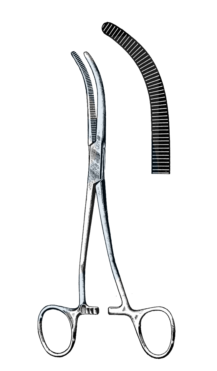 Shallcross Gall Bladder Forceps 7 3/4" (19.5 cm) - Garana Industries