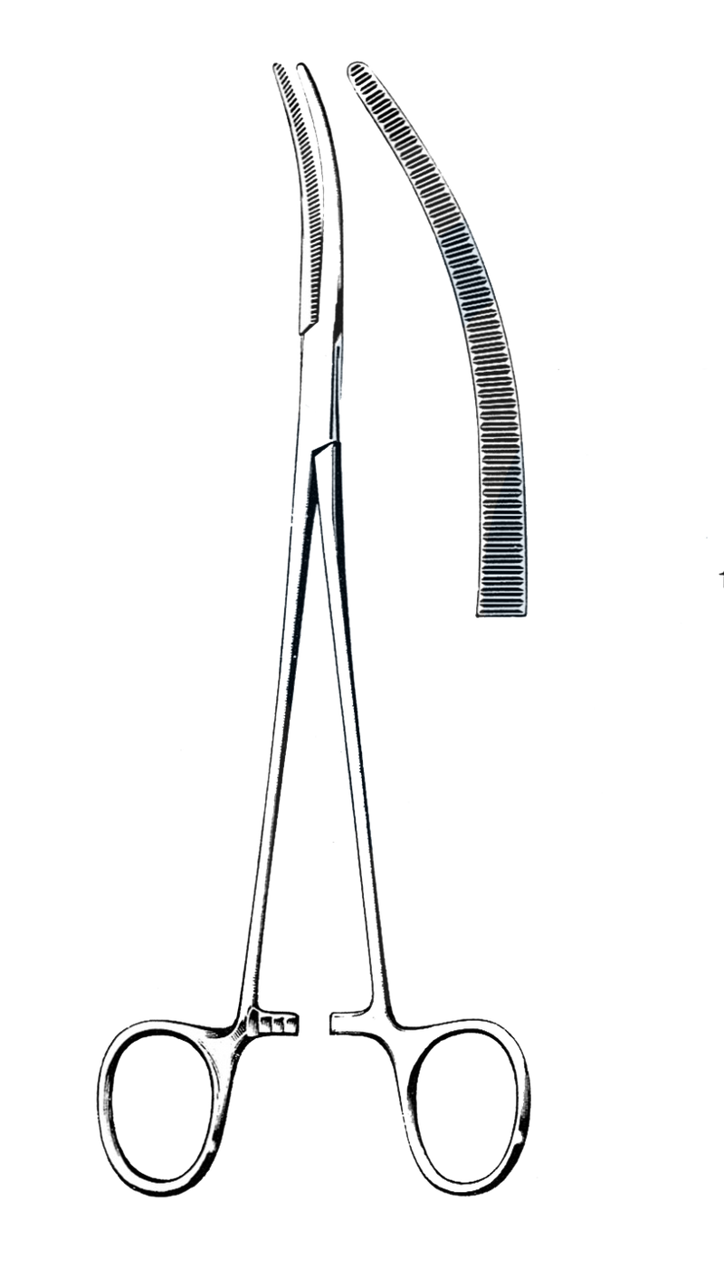 Roberts Artery Forceps, Curved 8 3/4" (22 cm) - Garana Industries