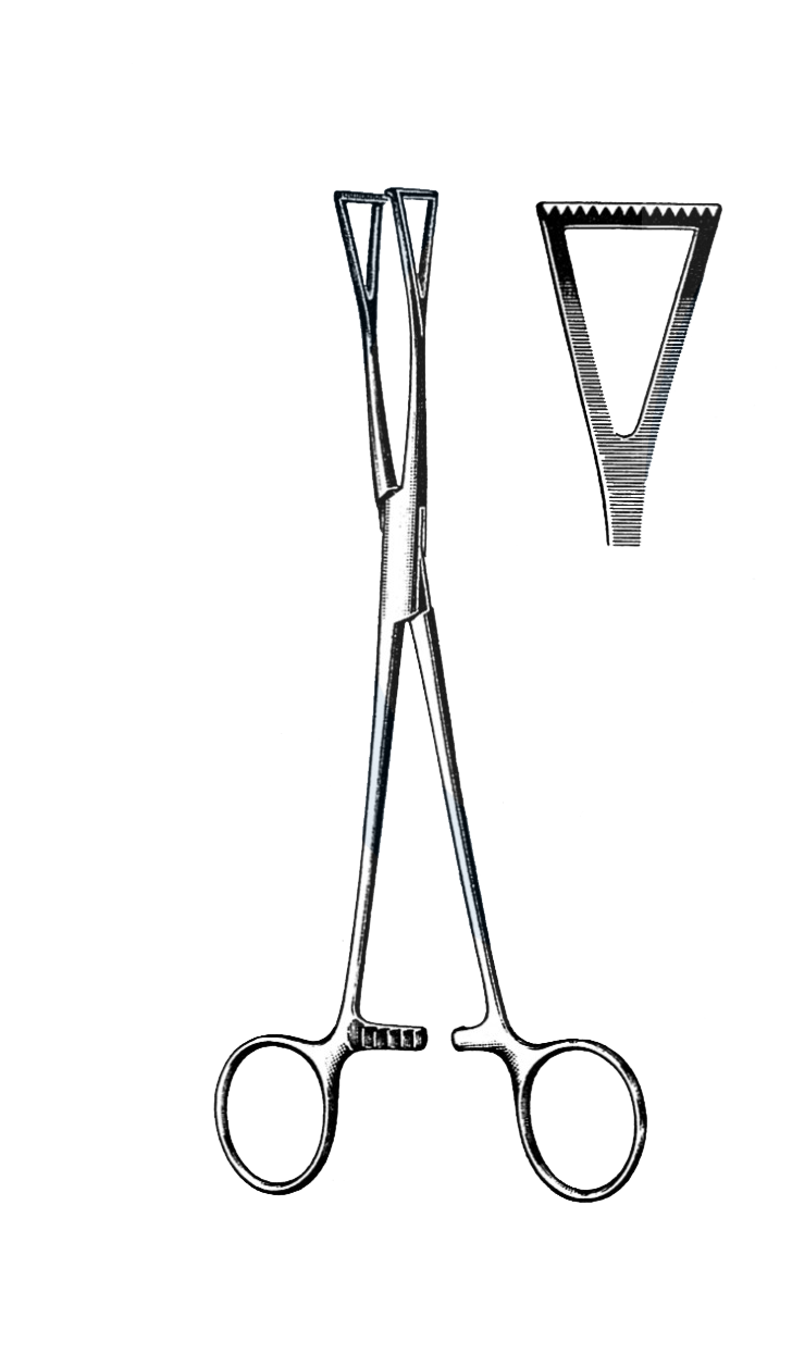 Duval Lung Grasping Forceps, 1/2" Jaw 8" (20 cm) - Garana Industries