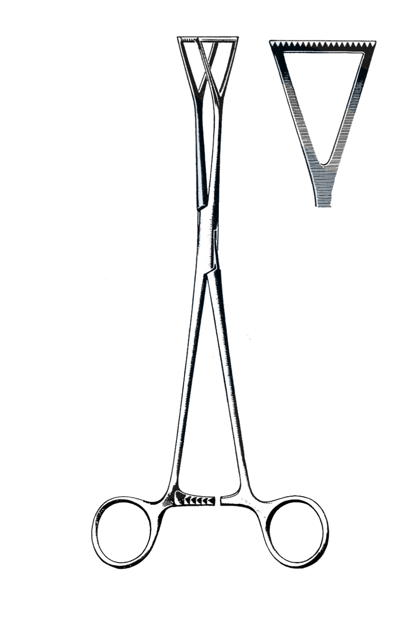Duval Lung Grasping Forceps, 1" Jaw 8" (20 cm) - Garana Industries